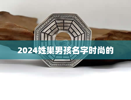 2024姓巢男孩名字时尚的