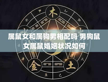 属鼠女和属狗男相配吗 男狗鼠女属鼠婚姻状况如何