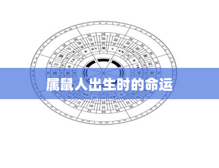 属鼠人出生时的命运