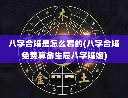 八字合婚是怎么看的(八字合婚免费算命生辰八字婚姻)