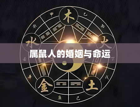 属鼠人的婚姻与命运