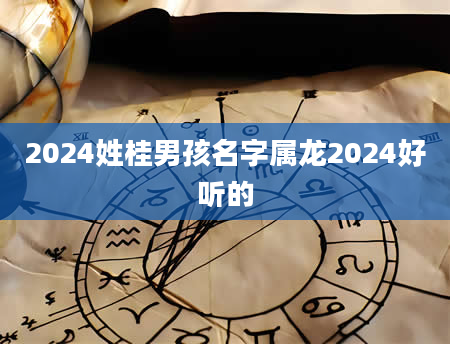 2024姓桂男孩名字属龙2024好听的