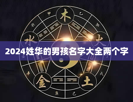 2024姓华的男孩名字大全两个字