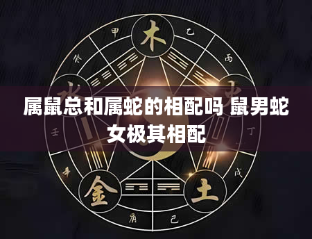 属鼠总和属蛇的相配吗 鼠男蛇女极其相配