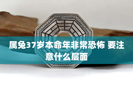 属兔37岁本命年非常恐怖 要注意什么层面