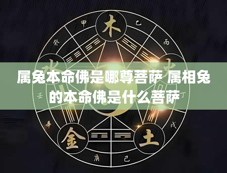 属兔本命佛是哪尊菩萨 属相兔的本命佛是什么菩萨