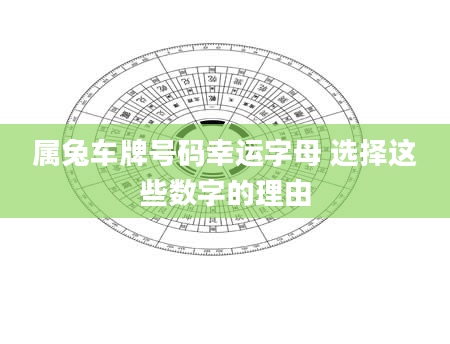 属兔车牌号码幸运字母 选择这些数字的理由
