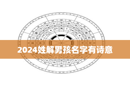 2024姓解男孩名字有诗意