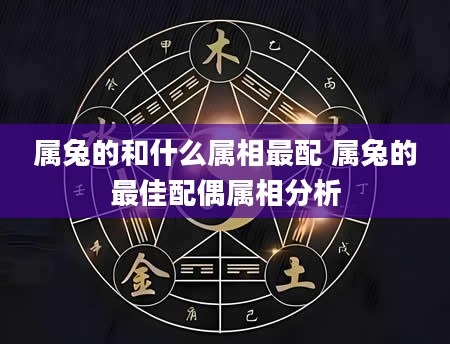属兔的和什么属相最配 属兔的最佳配偶属相分析