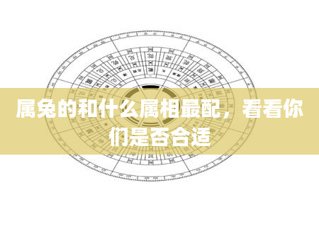 属兔的和什么属相最配，看看你们是否合适