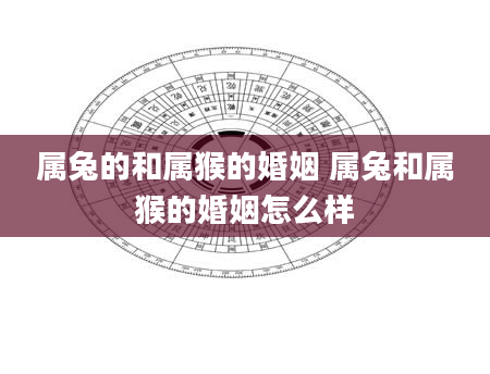 属兔的和属猴的婚姻 属兔和属猴的婚姻怎么样