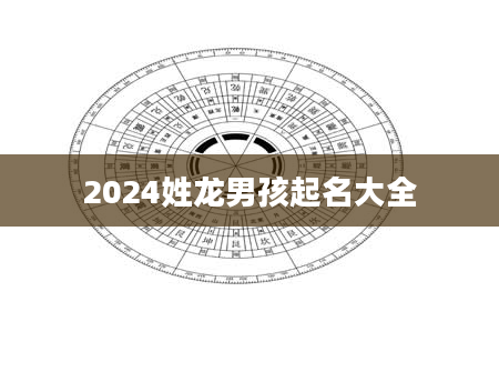 2024姓龙男孩起名大全