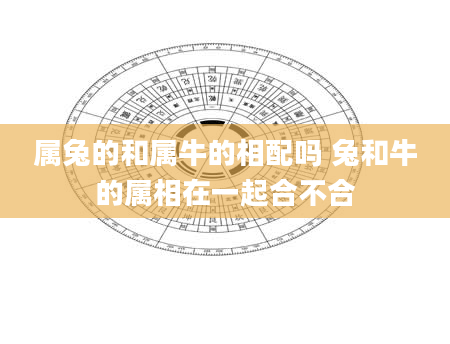 属兔的和属牛的相配吗 兔和牛的属相在一起合不合