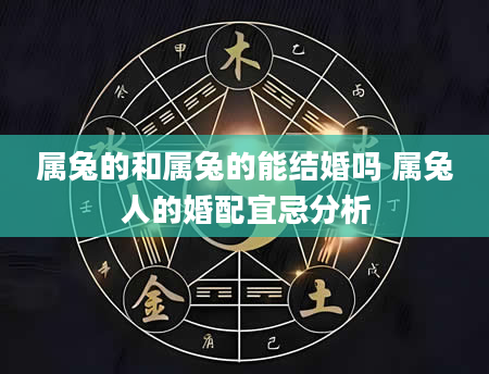 属兔的和属兔的能结婚吗 属兔人的婚配宜忌分析