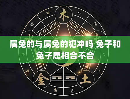 属兔的与属兔的犯冲吗 兔子和兔子属相合不合