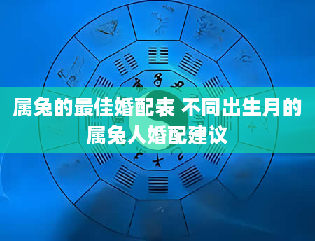 属兔的最佳婚配表 不同出生月的属兔人婚配建议