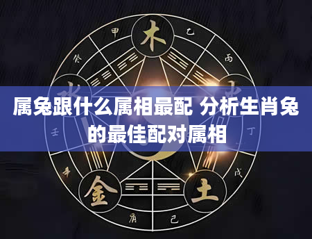 属兔跟什么属相最配 分析生肖兔的最佳配对属相