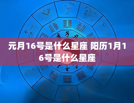 元月16号是什么星座 阳历1月16号是什么星座