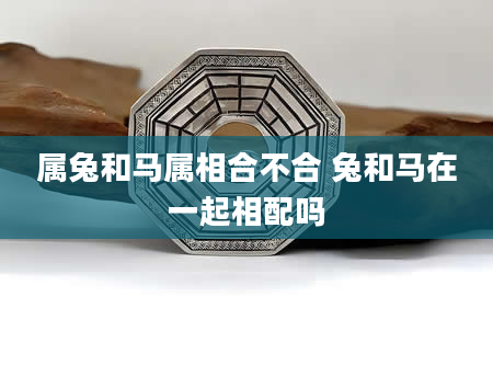 属兔和马属相合不合 兔和马在一起相配吗