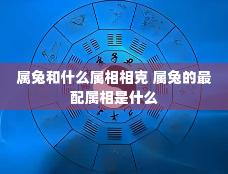 属兔和什么属相相克 属兔的最配属相是什么