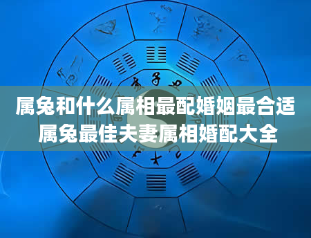 属兔和什么属相最配婚姻最合适 属兔最佳夫妻属相婚配大全