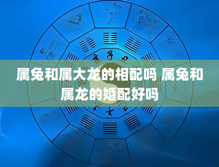 属兔和属大龙的相配吗 属兔和属龙的婚配好吗