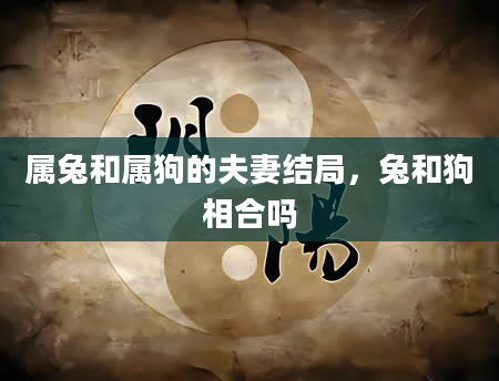 属兔和属狗的夫妻结局，兔和狗相合吗