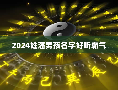 2024姓潘男孩名字好听霸气