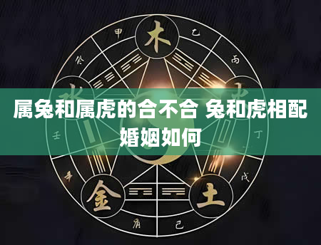 属兔和属虎的合不合 兔和虎相配婚姻如何