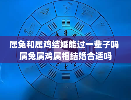 属兔和属鸡结婚能过一辈子吗 属兔属鸡属相结婚合适吗