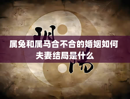 属兔和属马合不合的婚姻如何 夫妻结局是什么