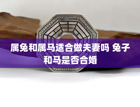 属兔和属马适合做夫妻吗 兔子和马是否合婚