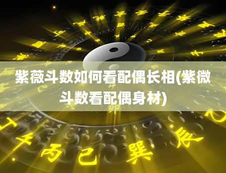 紫薇斗数如何看配偶长相(紫微斗数看配偶身材)