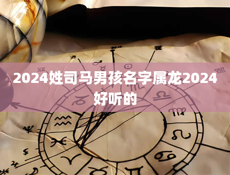 2024姓司马男孩名字属龙2024好听的