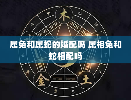 属兔和属蛇的婚配吗 属相兔和蛇相配吗