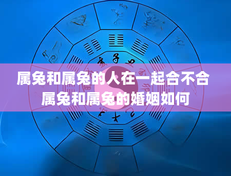 属兔和属兔的人在一起合不合 属兔和属兔的婚姻如何