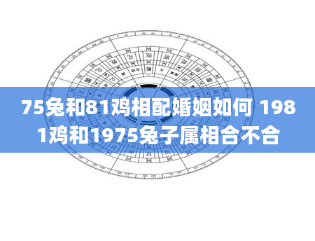 75兔和81鸡相配婚姻如何 1981鸡和1975兔子属相合不合