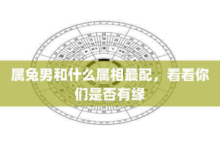 属兔男和什么属相最配，看看你们是否有缘