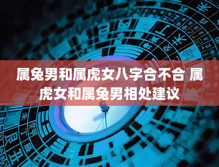 属兔男和属虎女八字合不合 属虎女和属兔男相处建议