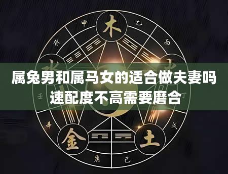 属兔男和属马女的适合做夫妻吗 速配度不高需要磨合
