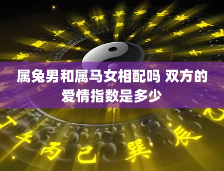 属兔男和属马女相配吗 双方的爱情指数是多少