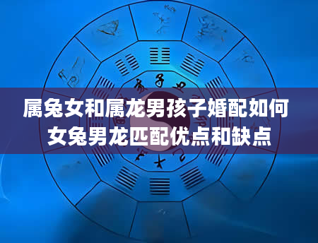 属兔女和属龙男孩子婚配如何 女兔男龙匹配优点和缺点