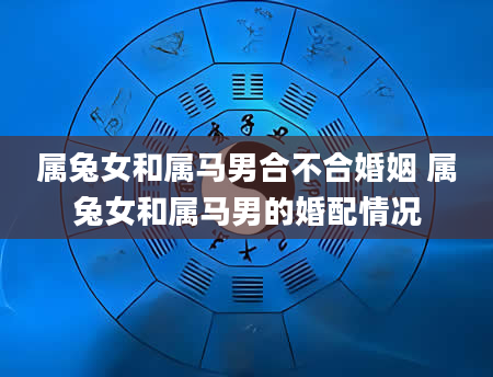 属兔女和属马男合不合婚姻 属兔女和属马男的婚配情况