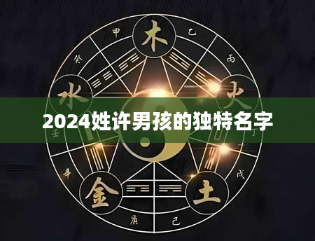 2024姓许男孩的独特名字