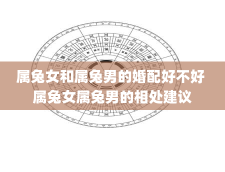 属兔女和属兔男的婚配好不好 属兔女属兔男的相处建议