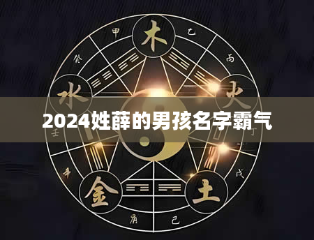 2024姓薛的男孩名字霸气