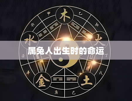 属兔人出生时的命运