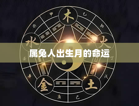 属兔人出生月的命运