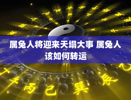属兔人将迎来天塌大事 属兔人该如何转运