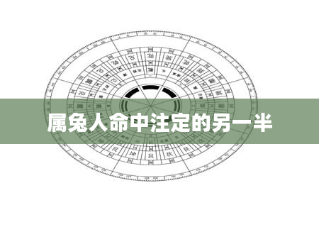 属兔人命中注定的另一半